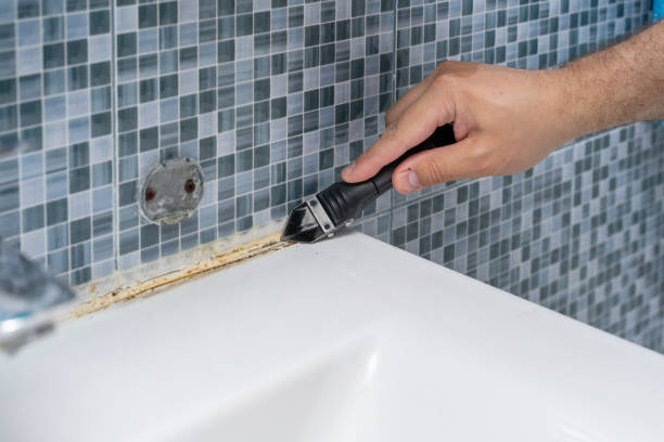 Best Certified Mold Removal  in Cascade Valley, WA