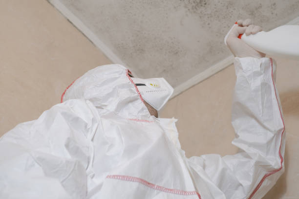 Best Same-Day Mold Removal  in Cascade Valley, WA